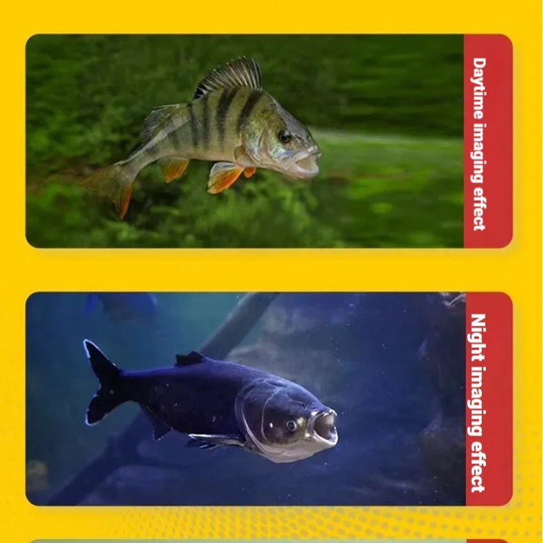 Telecamera Subacquea per Pesca - Fish Finder Portable recensione e prezzo